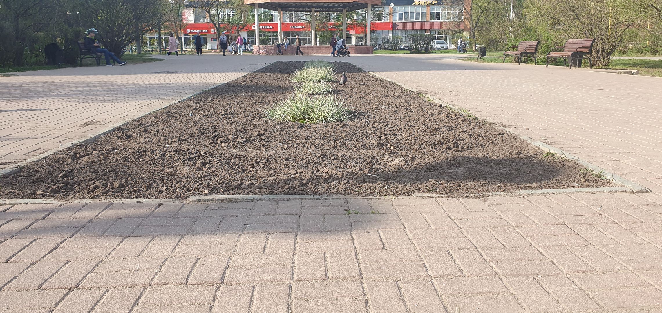 реконструкция, сквер, благоустройство, Дзержинский