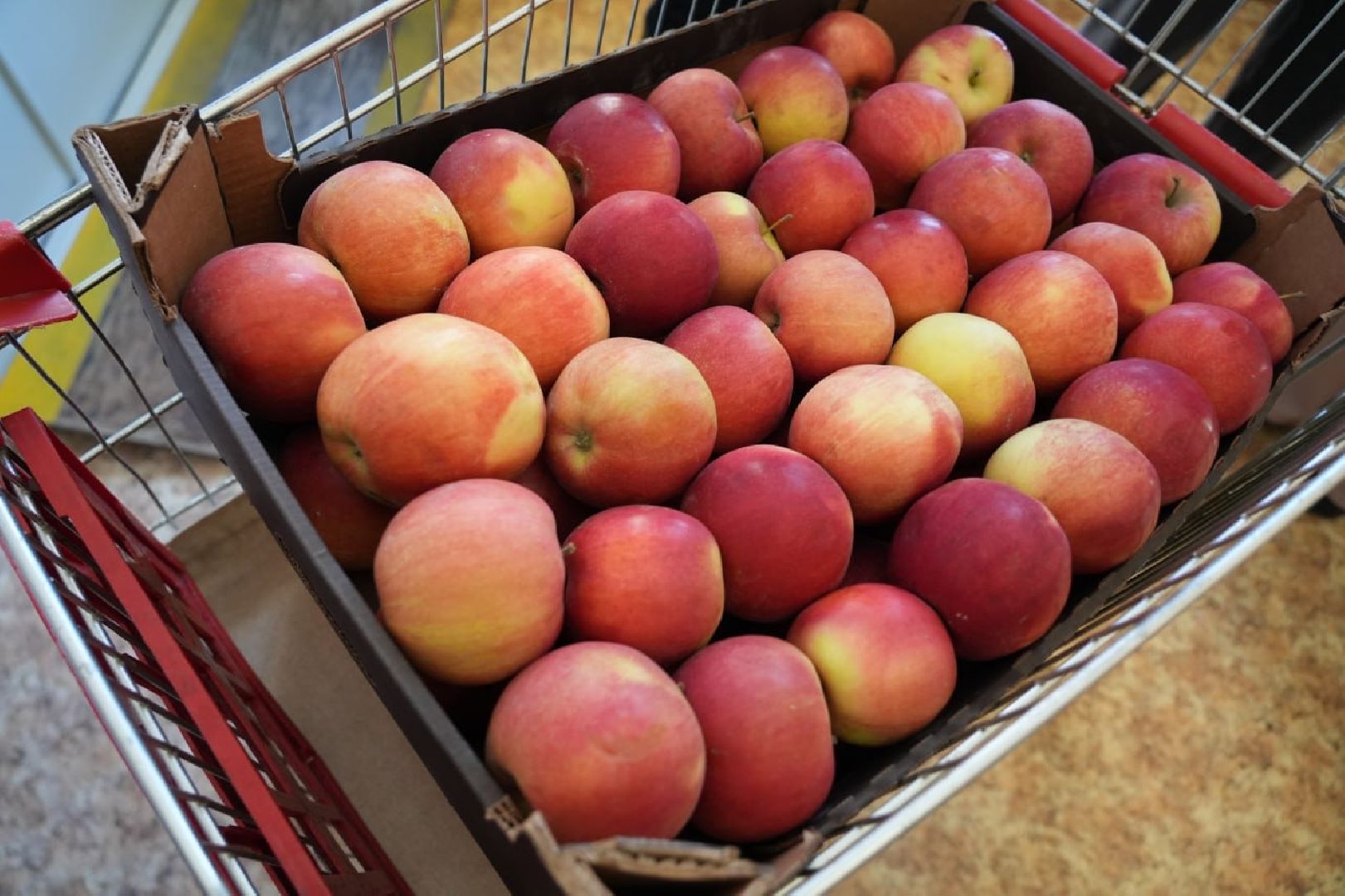 сергиев посад, медицина, сво, здоровье, день защитника отечества, сергиево-посадский городской округ, поддержка,