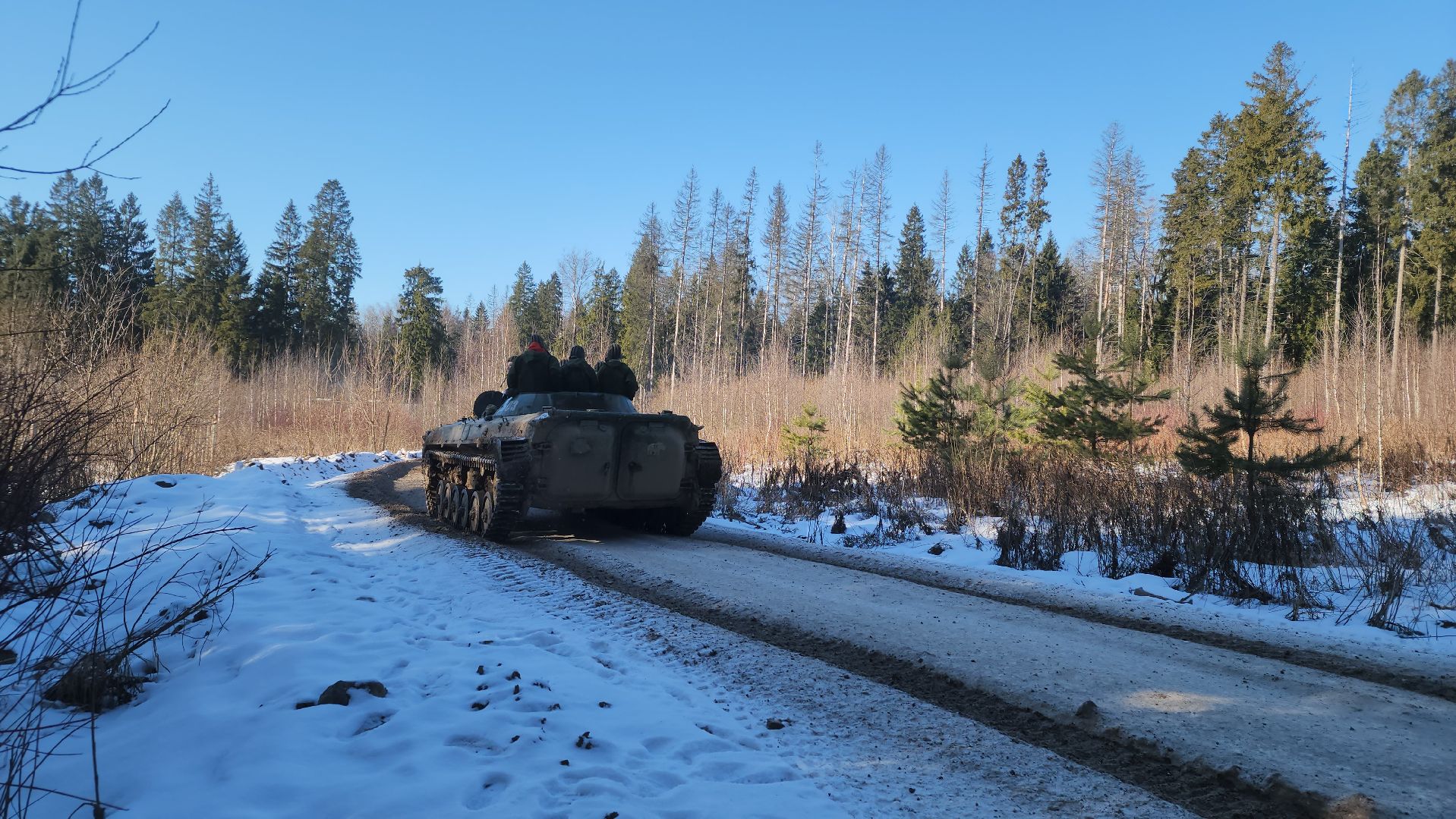 мытищи, день защитника отечества, танки,
