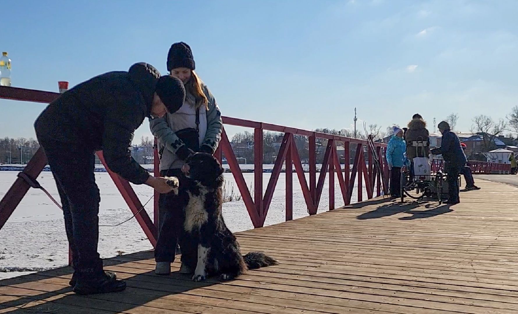 вертикалки, Бронницы, 23 февраля, Разрешите поздравить, парк бронницкий луг,