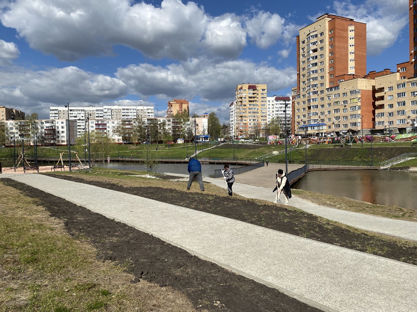 Чехов, благоустройство, Теребенка, депутат, дерево