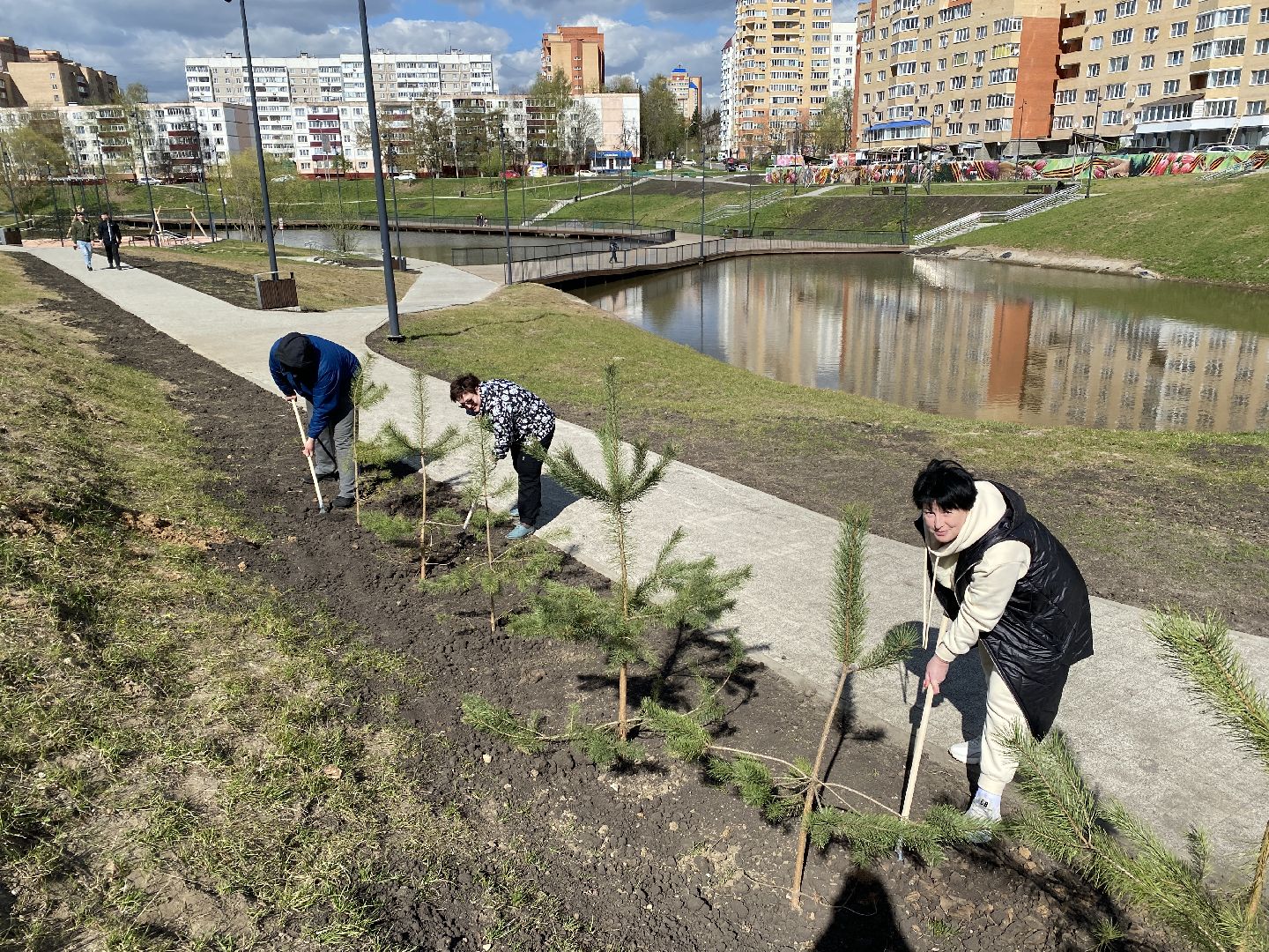 Чехов, благоустройство, Теребенка, депутат, дерево