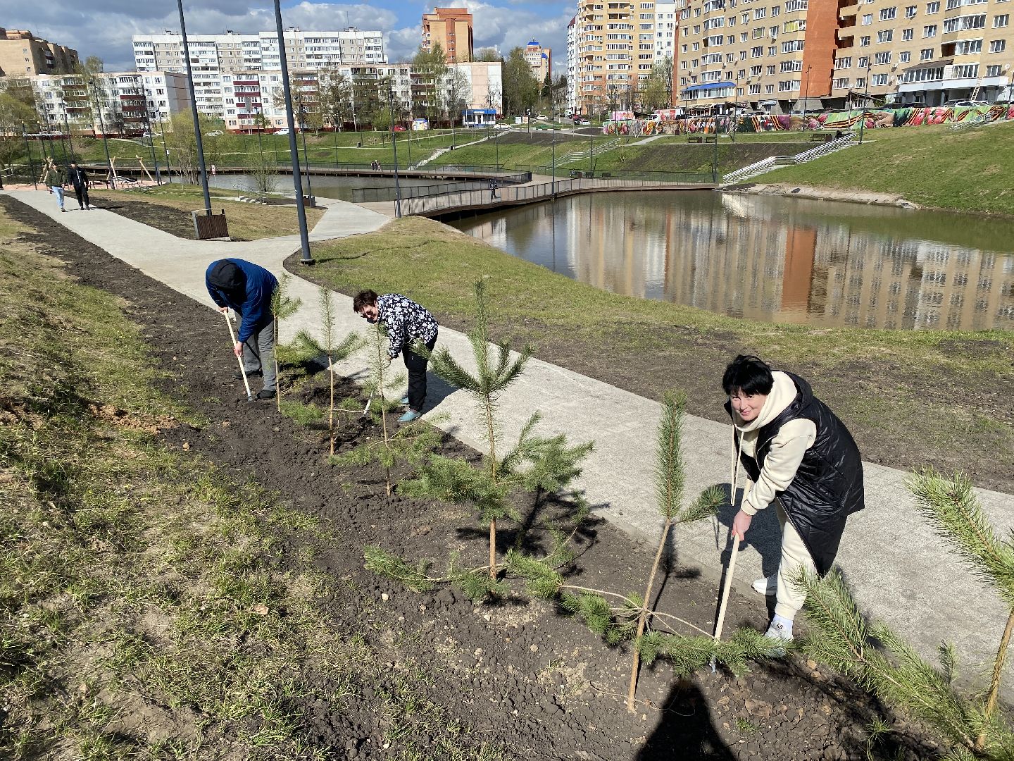 Чехов, благоустройство, Теребенка, депутат, дерево