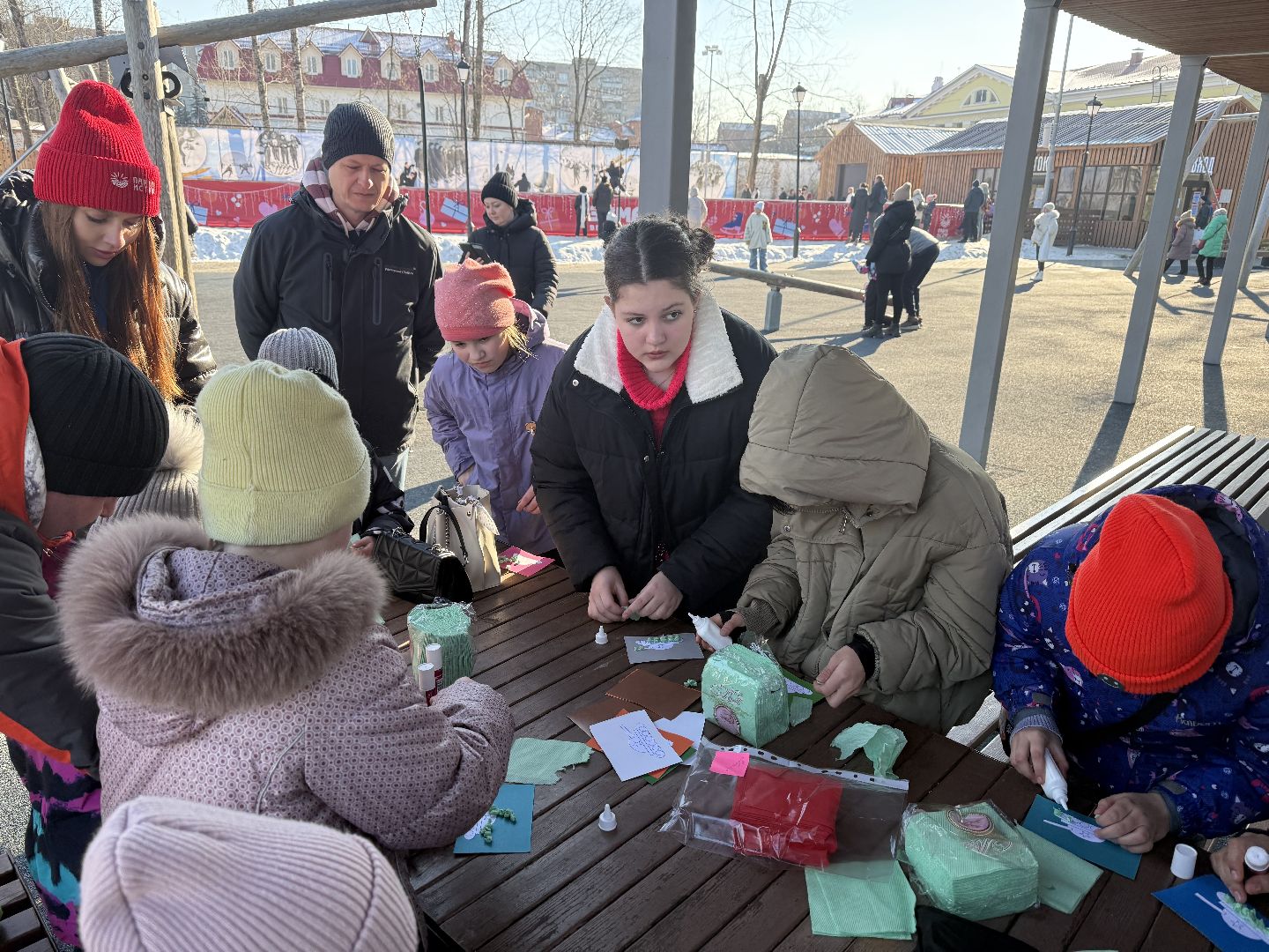 день защитника отечества, парки зимой, вертикалки,