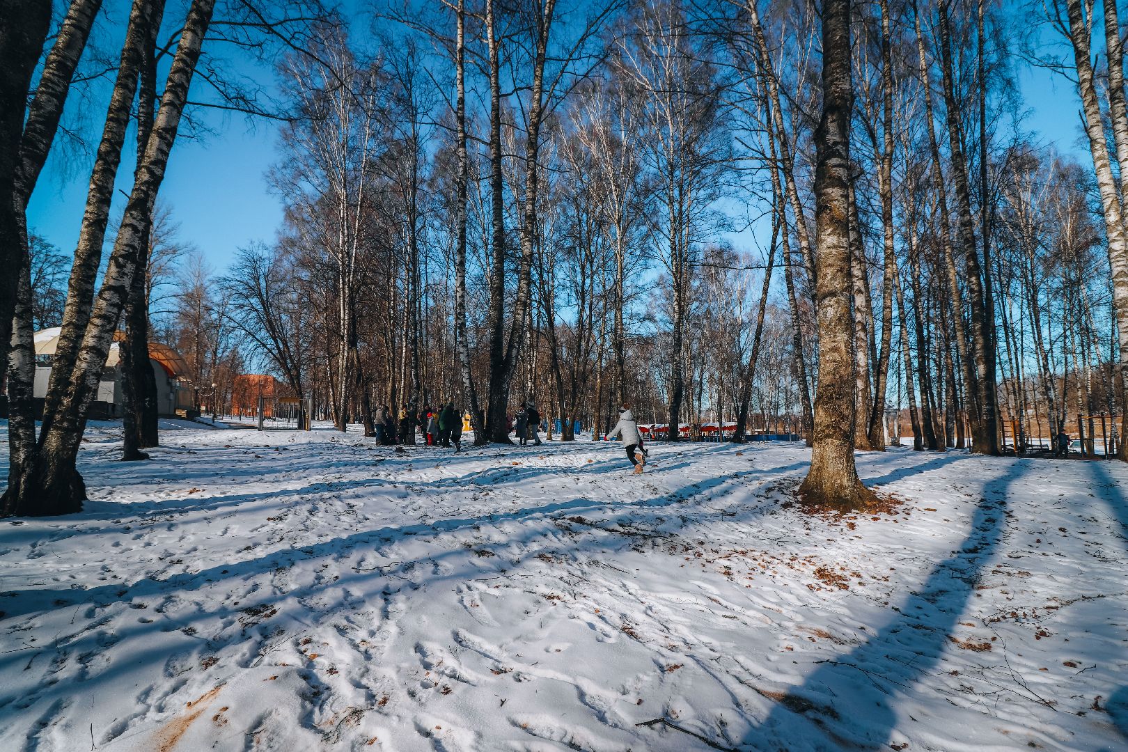 Клин, дети, день защитника отечества, лазертаг, игры в парке, вертикалки,