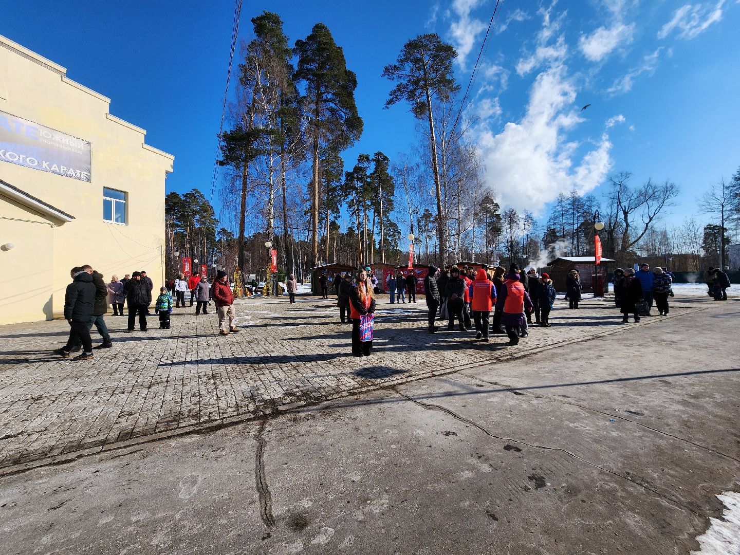 23 февраля, день защитника отечества, шатура, шатурский парк, концерт,