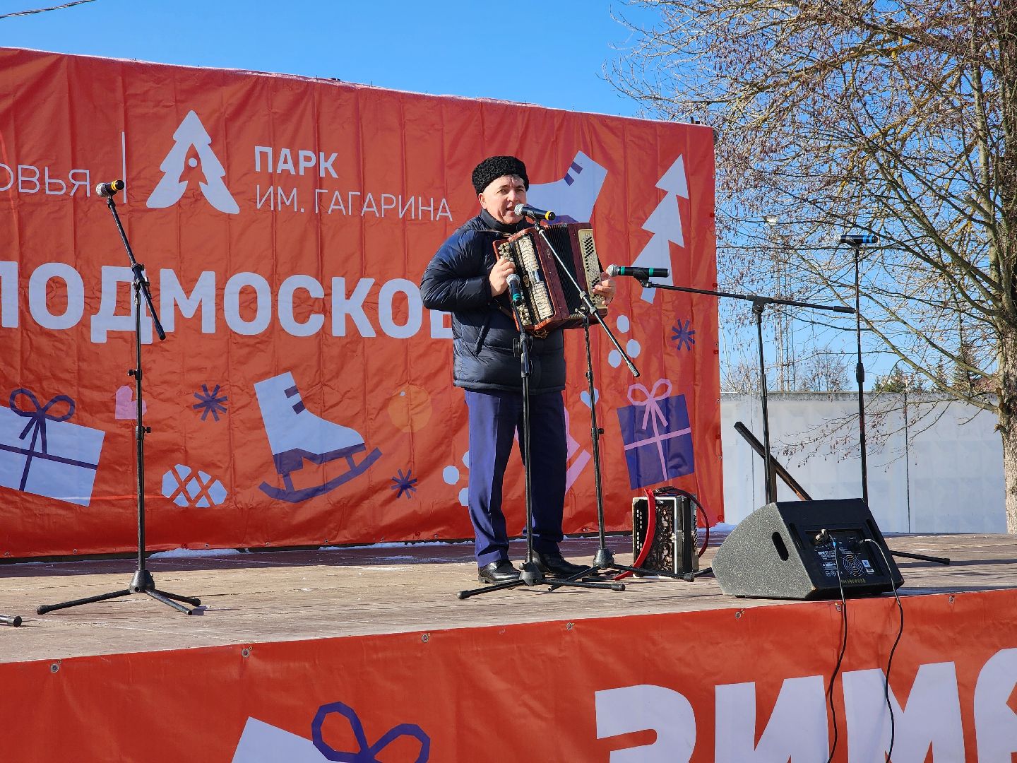 23 февраля, день защитника отечества, шатура, шатурский парк, концерт,