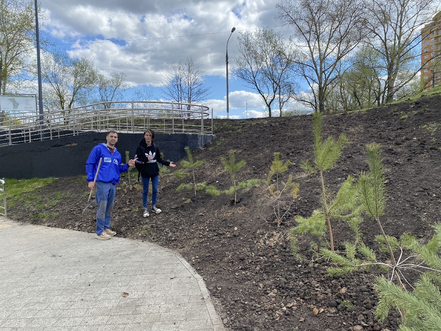 Чехов, благоустройство, чемпионка, дерево, пауэрлифтинг