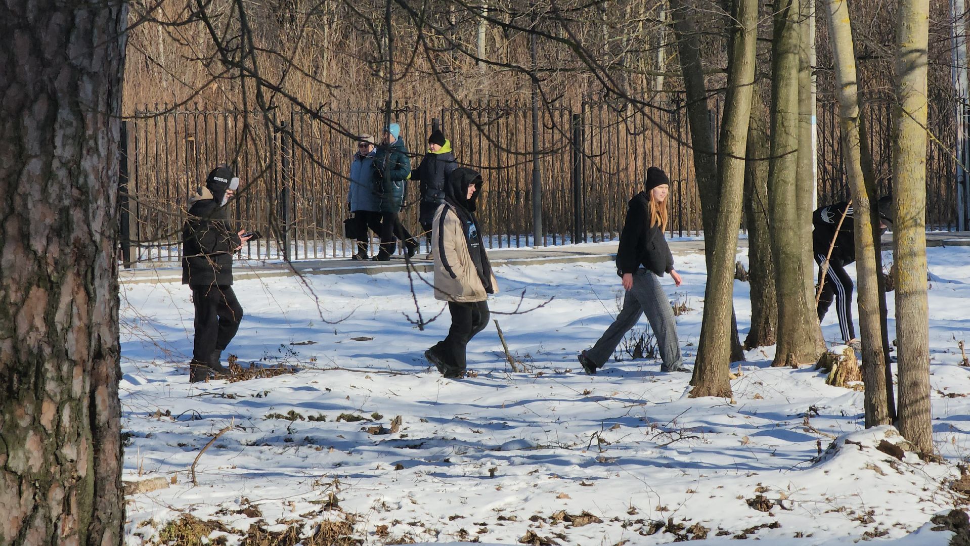 день защитника отечества, шатурский парк, шатура, спортивное ориентирование,