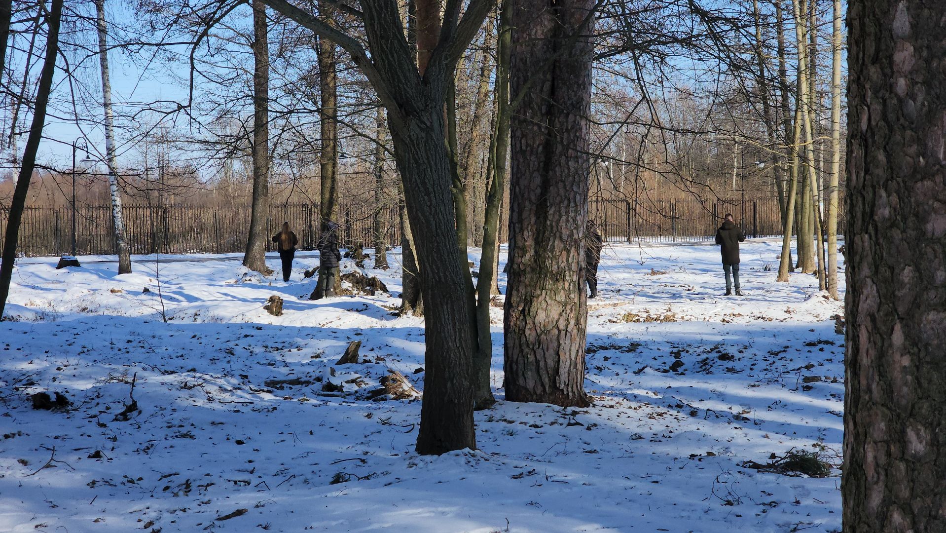 день защитника отечества, шатурский парк, шатура, спортивное ориентирование,