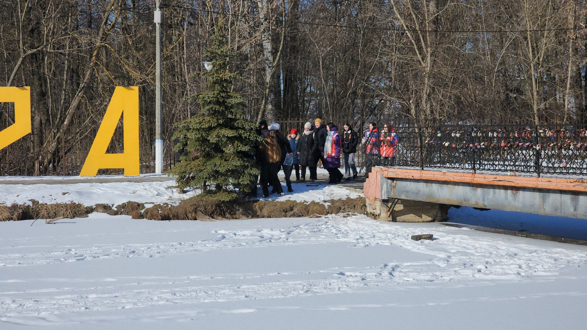 день защитника отечества, шатурский парк, шатура, спортивное ориентирование,