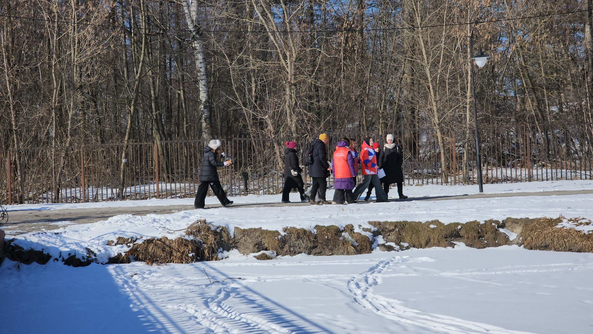 день защитника отечества, шатурский парк, шатура, спортивное ориентирование,