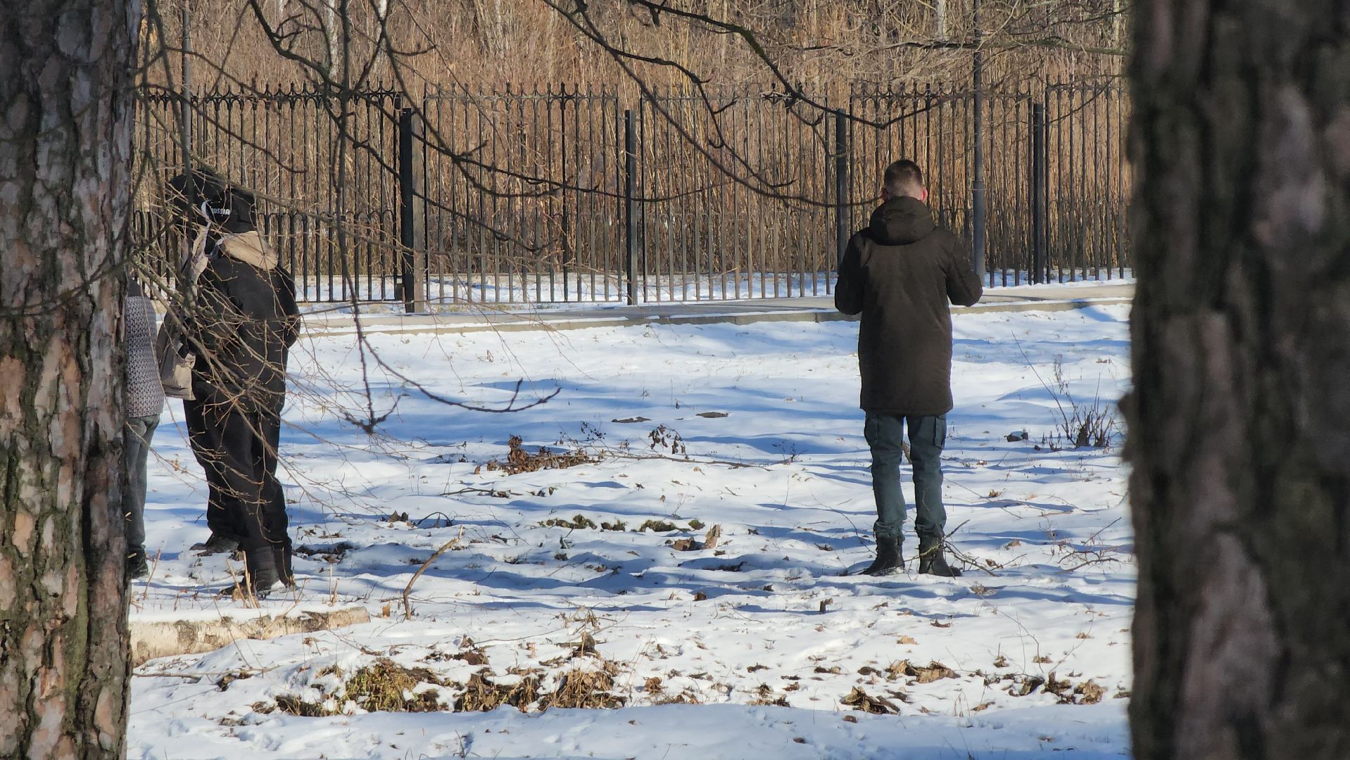 день защитника отечества, шатурский парк, шатура, спортивное ориентирование,