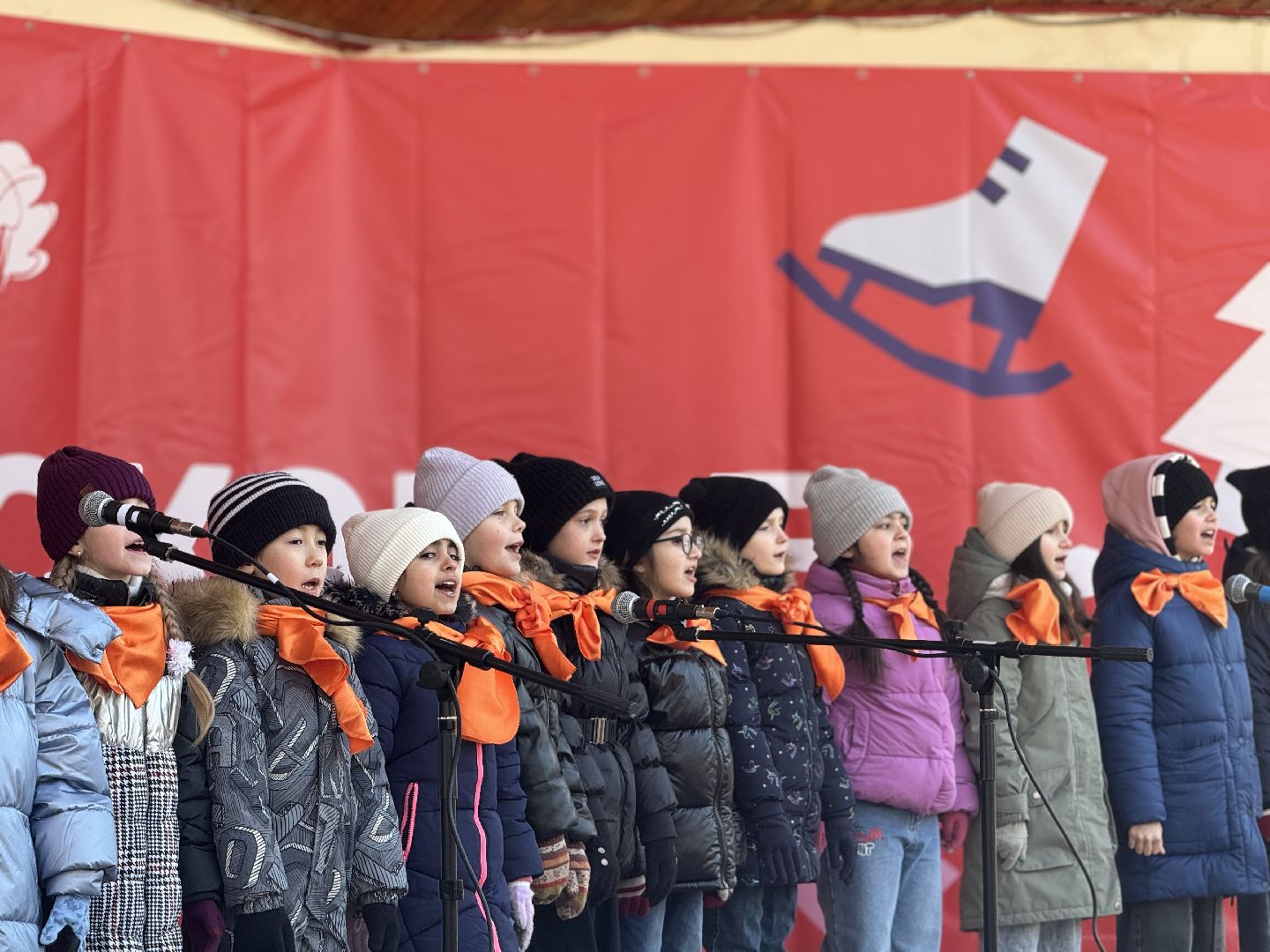 зима в подмосковье, парки подмосковья, развлекательная программа, разрешите поздравить, день защитника отечества, вертикалки,