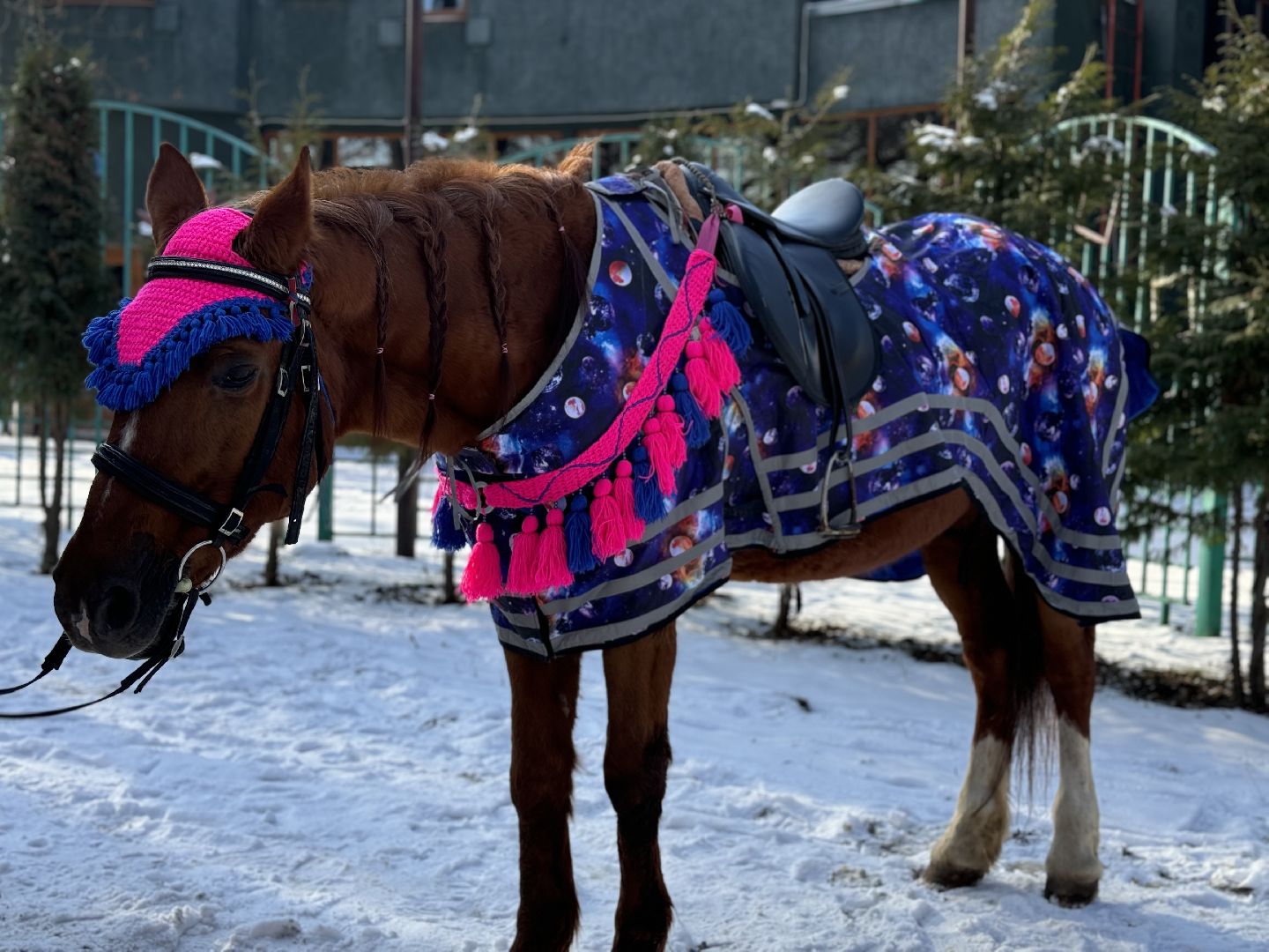 зима в подмосковье, парки подмосковья, развлекательная программа, разрешите поздравить, день защитника отечества, вертикалки,
