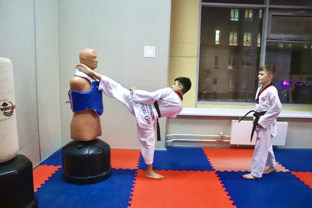 Фрязино, общество