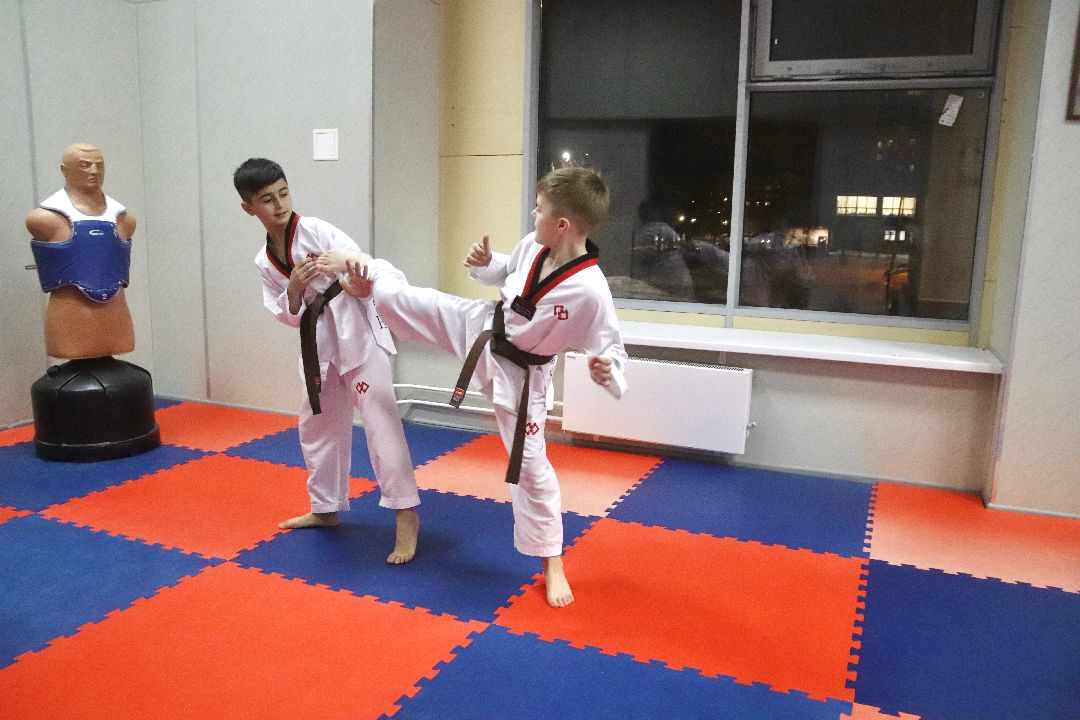 Фрязино, общество