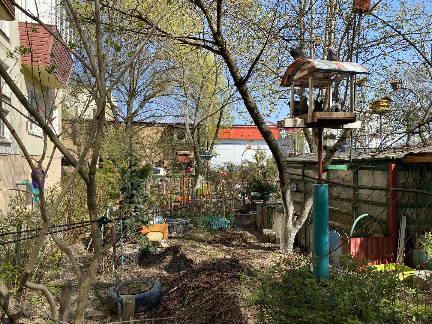 Чехов, благоустройство, дворик, житель, МКД