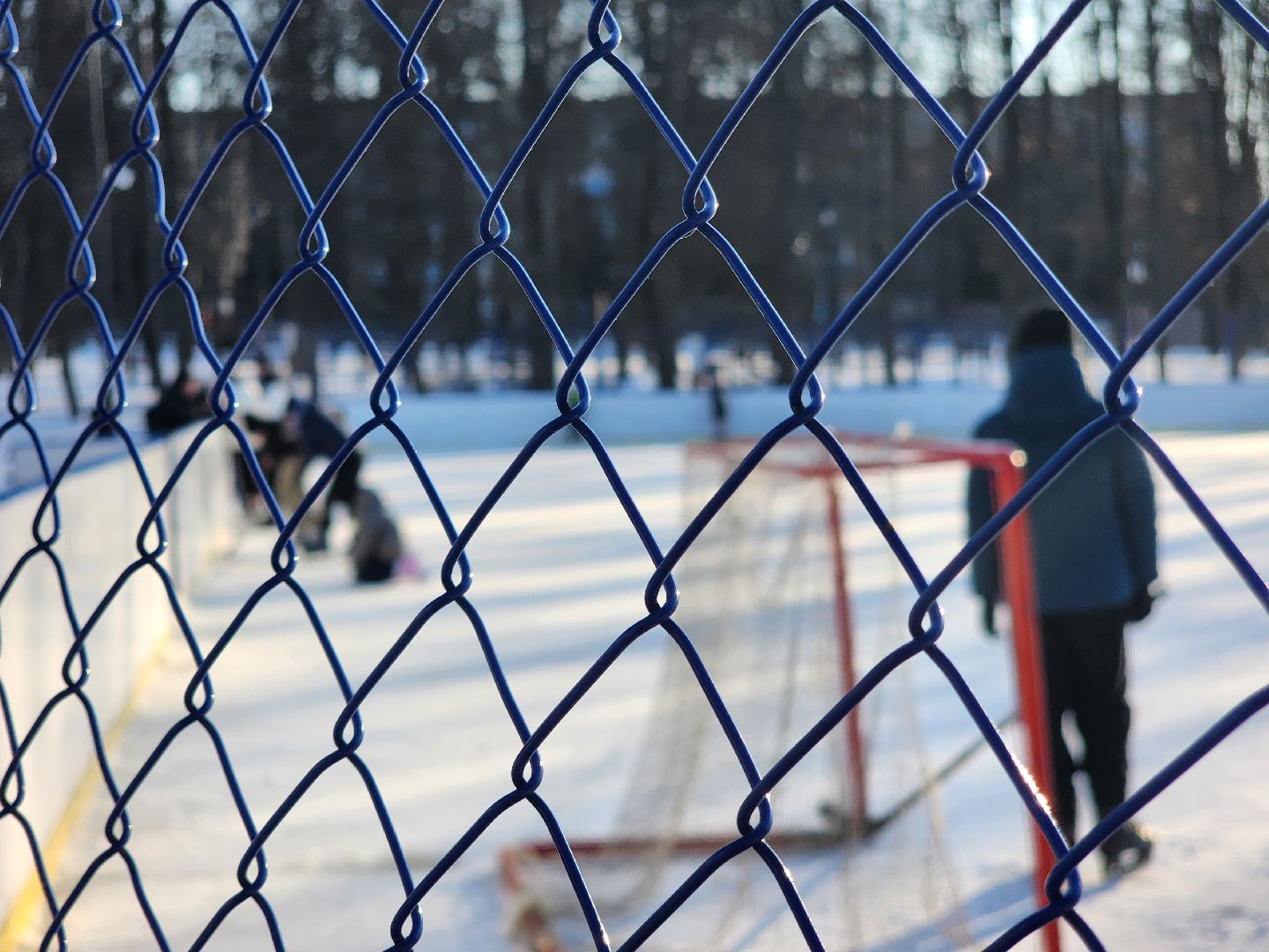 вертикалки, Зарайск, катание на коньках, каток, Парк культуры и отдыха, Выходной с пользой,