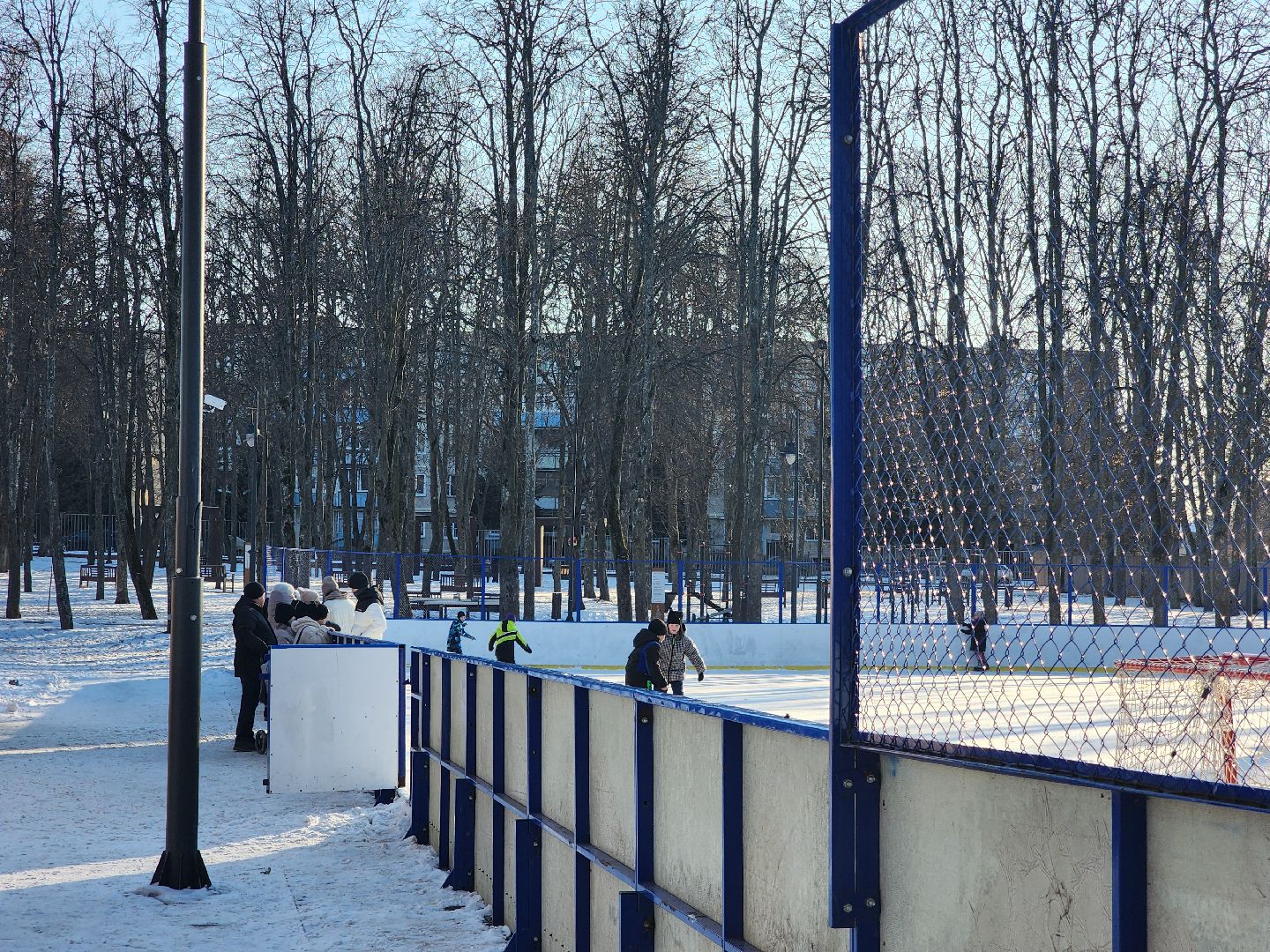 вертикалки, Зарайск, катание на коньках, каток, Парк культуры и отдыха, Выходной с пользой,