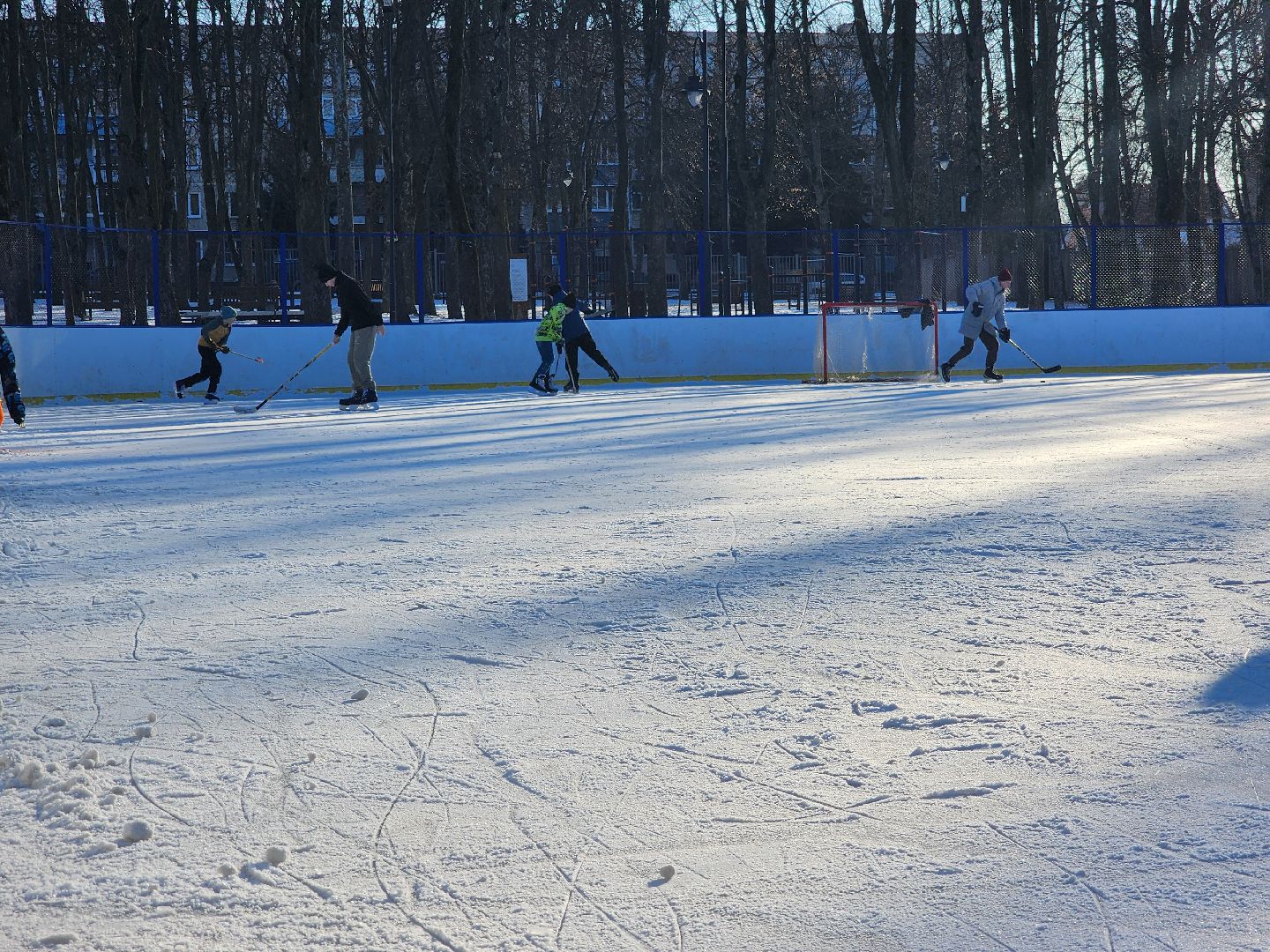 вертикалки, Зарайск, катание на коньках, каток, Парк культуры и отдыха, Выходной с пользой,