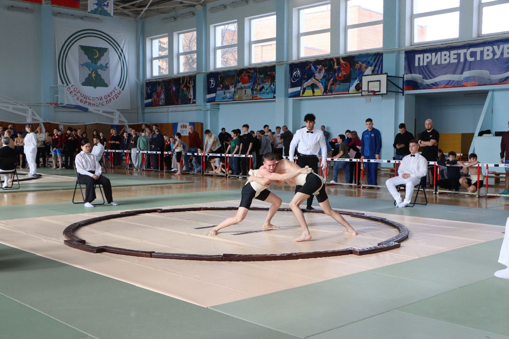 сумо, единоборства, председатель федерации сумо московской области, серебряные пруды,