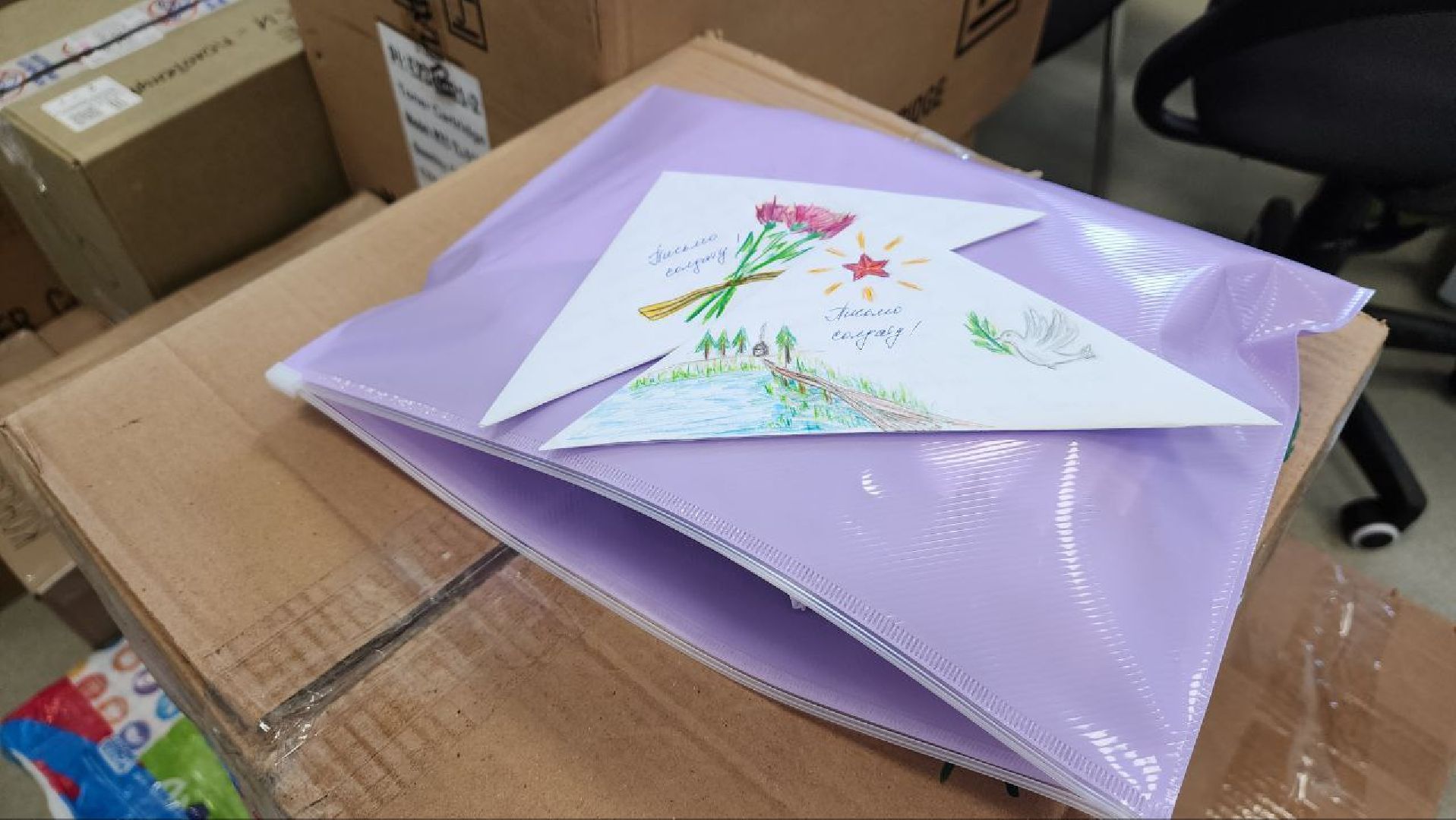 Дмитров, Дмитровский техникум, СВО,