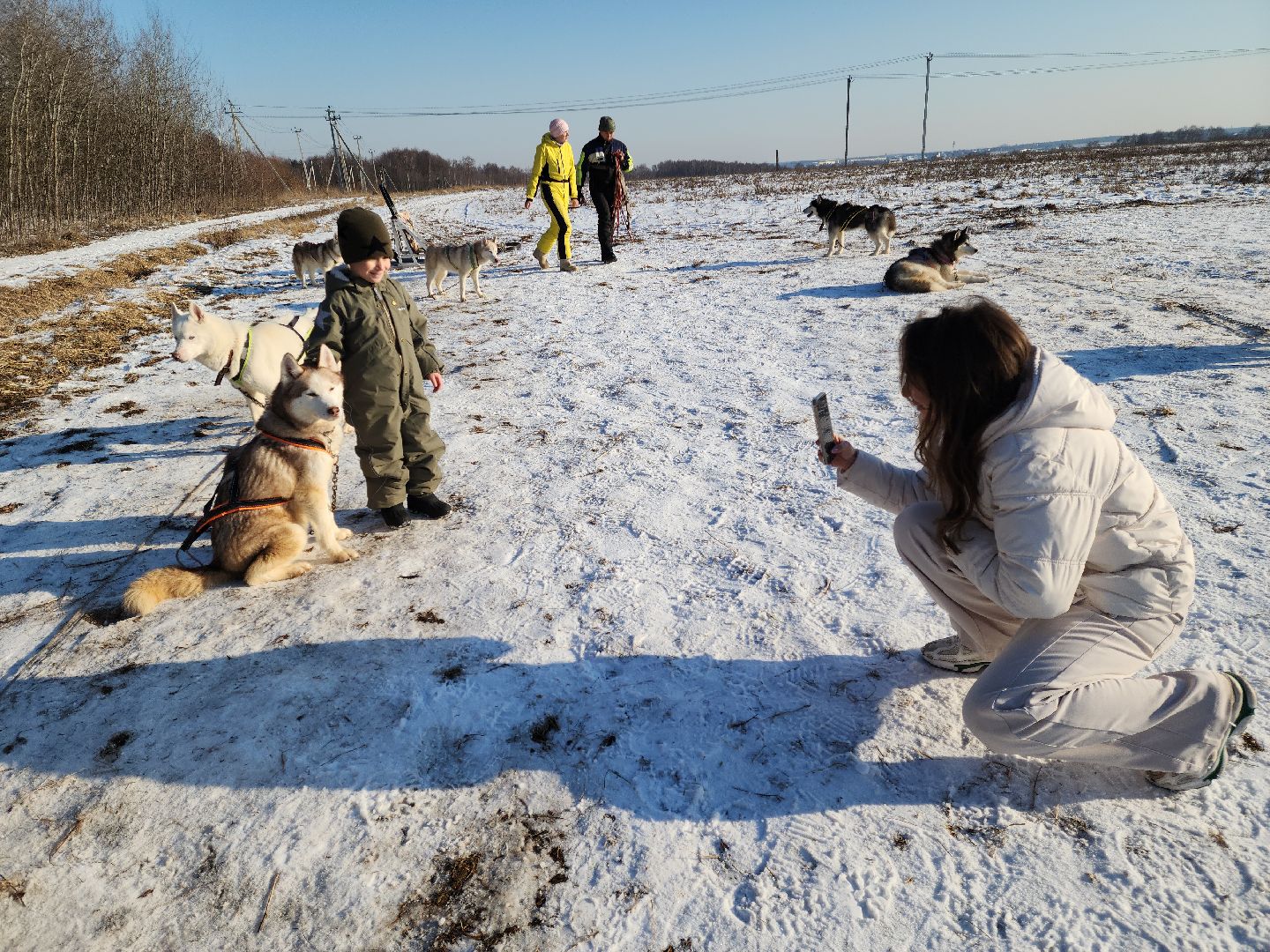 вертикалки,