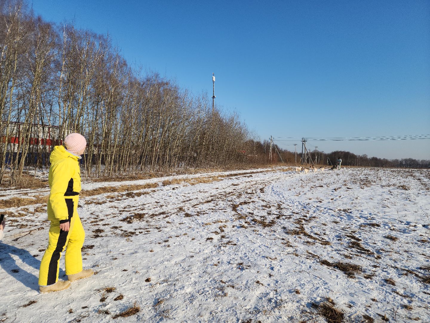 вертикалки,