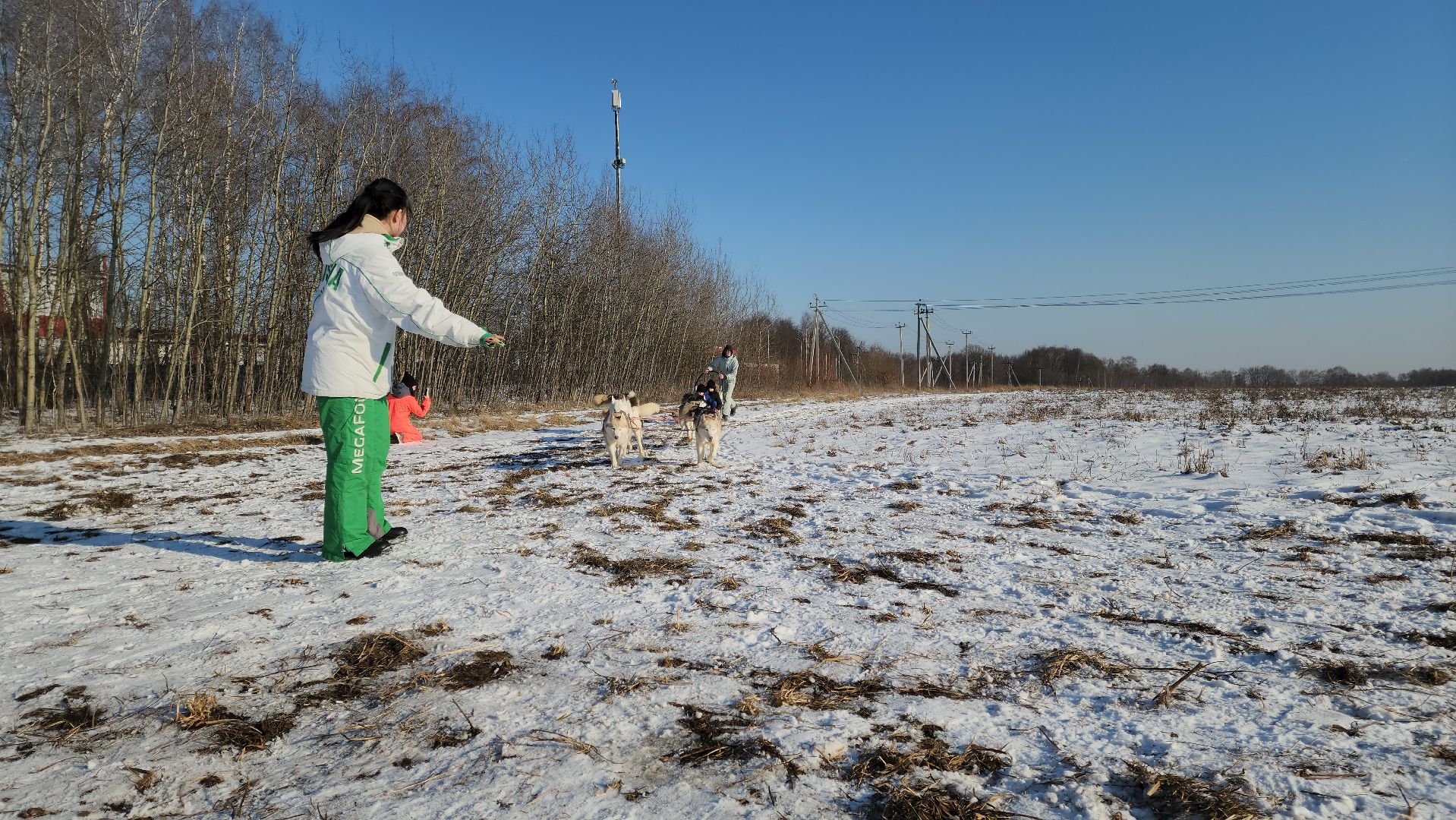 вертикалки,
