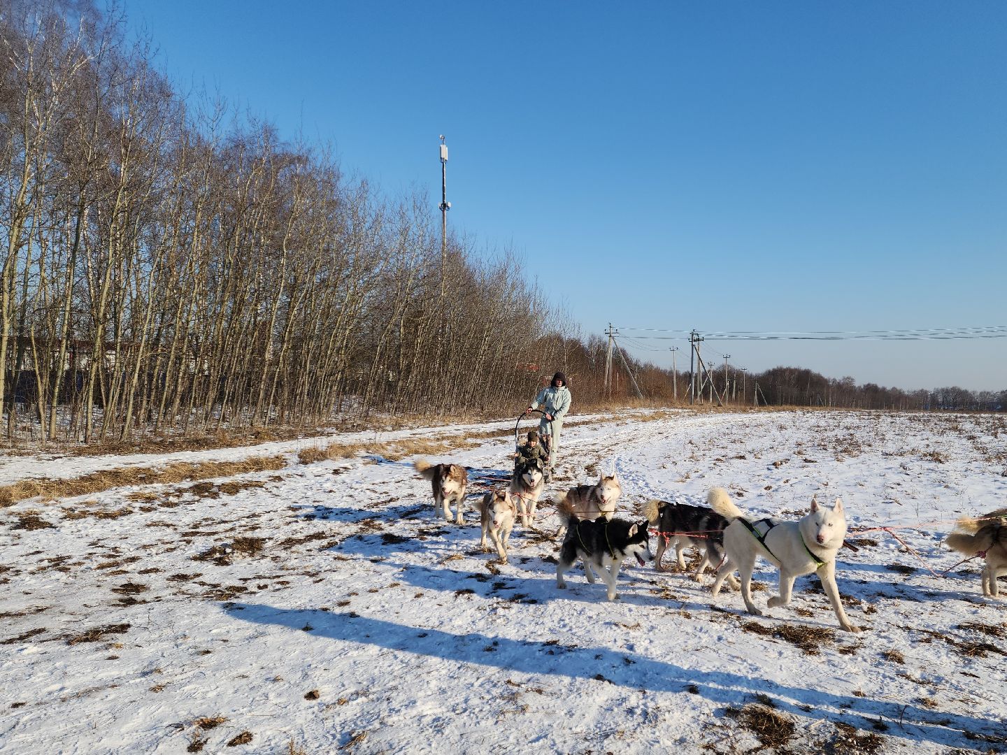 вертикалки,