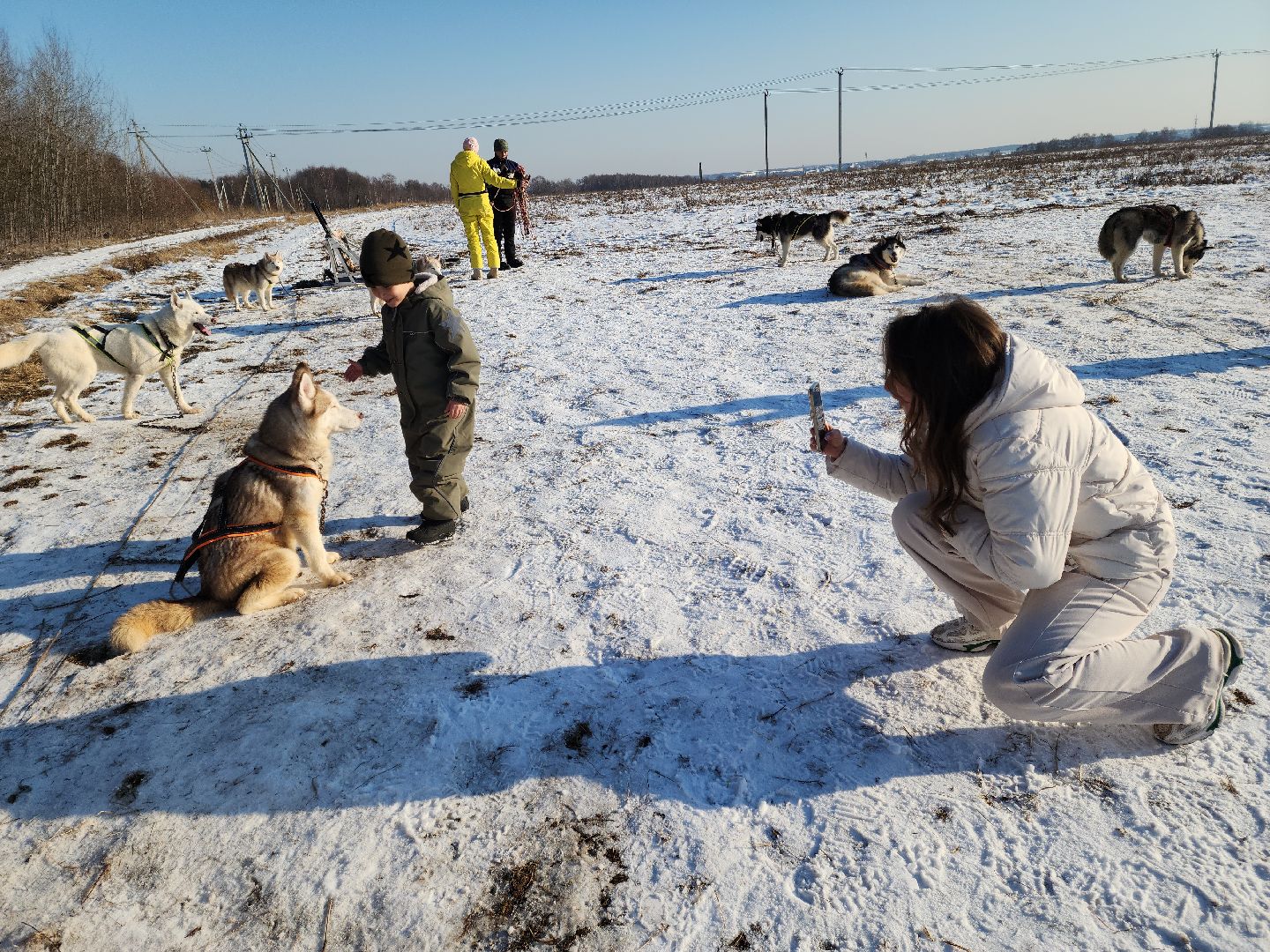 вертикалки,