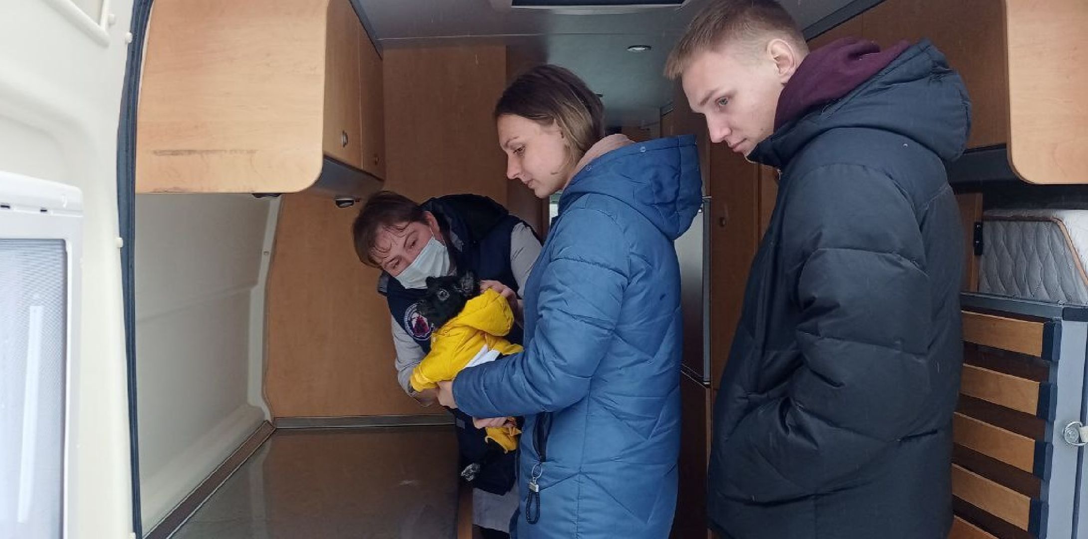 Государственная ветеринарная служба, ветеринар, Наро-Фоминск