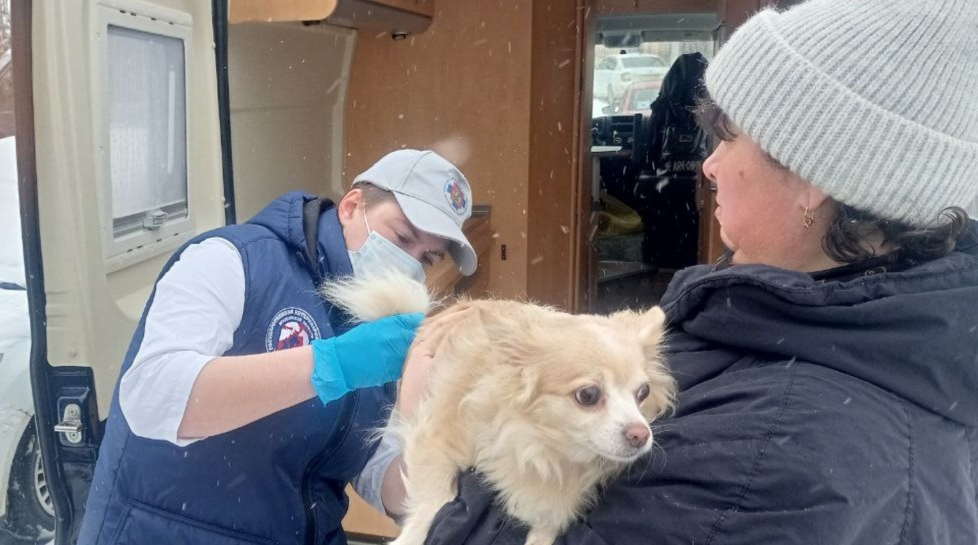 Государственная ветеринарная служба, ветеринар, Наро-Фоминск