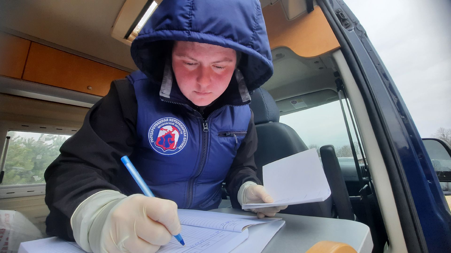 Государственная ветеринарная служба, ветеринар, Наро-Фоминск