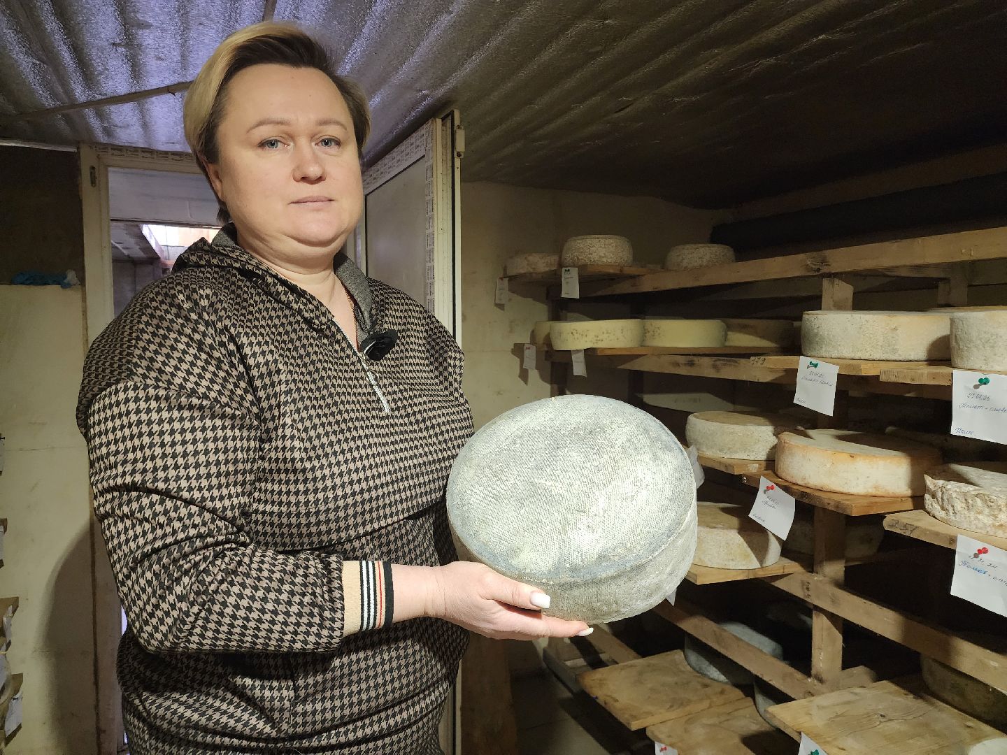 вертикалки, Зарайск, Черный сыр, Зарайские деликатесы, Сыроварня в Зарайске,