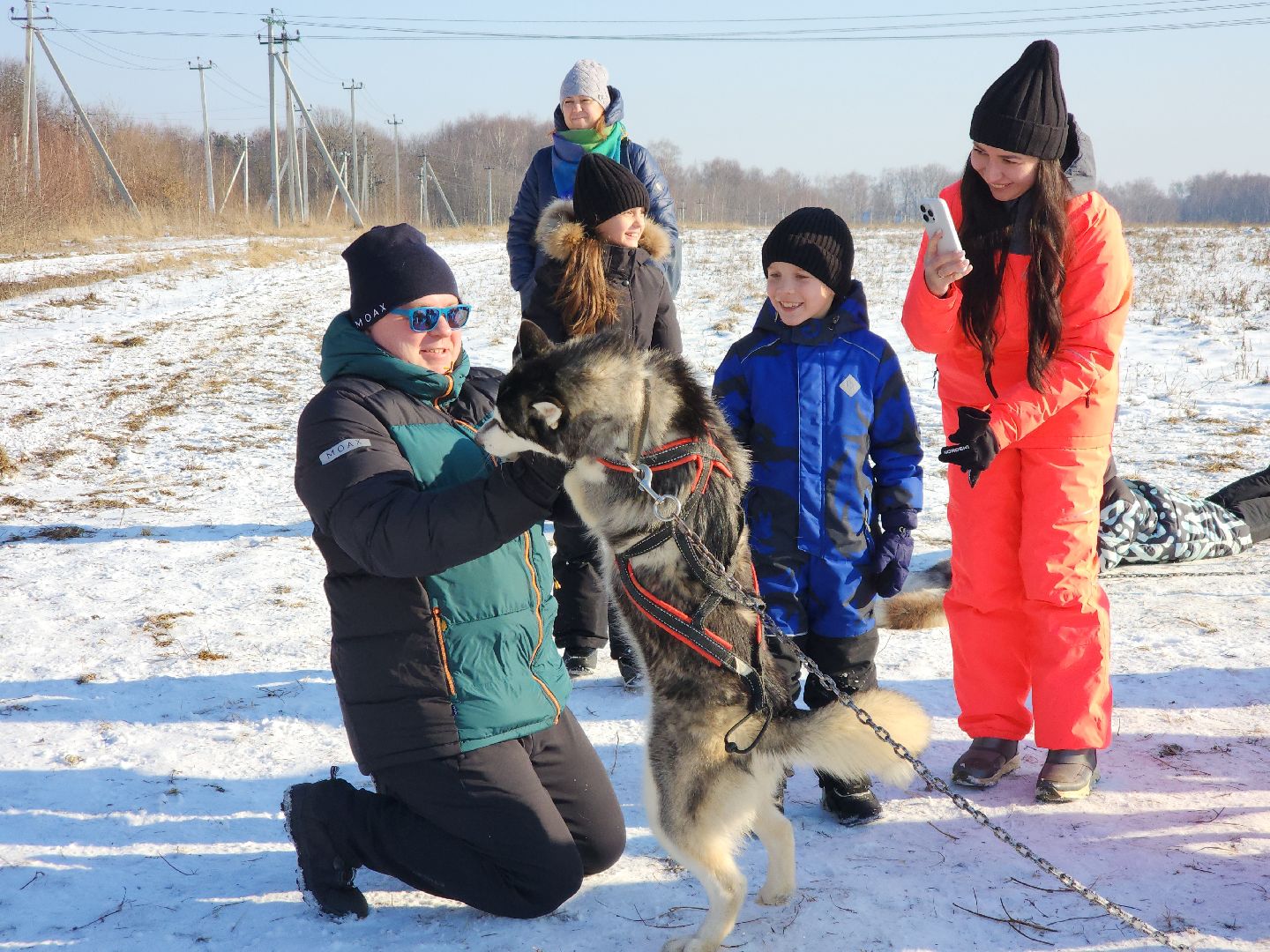 вертикалки, хаски, катание на хаски, собаки, отдых в подмосковье,