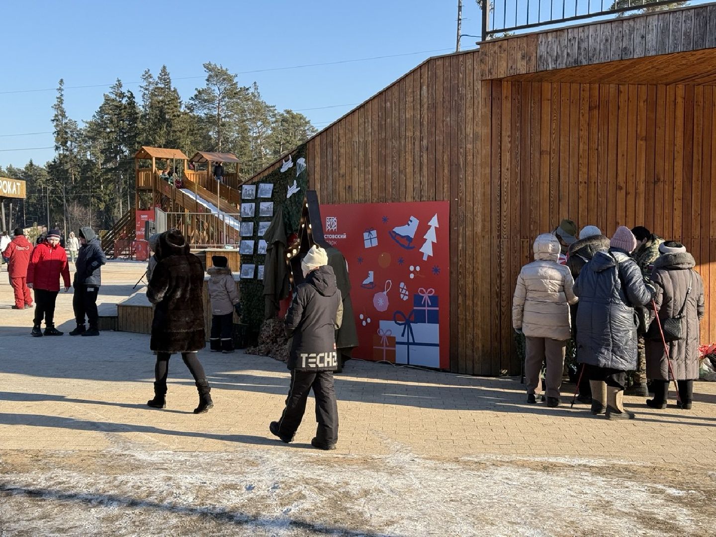 волонтеры, пестовский парк, 23 февраля,