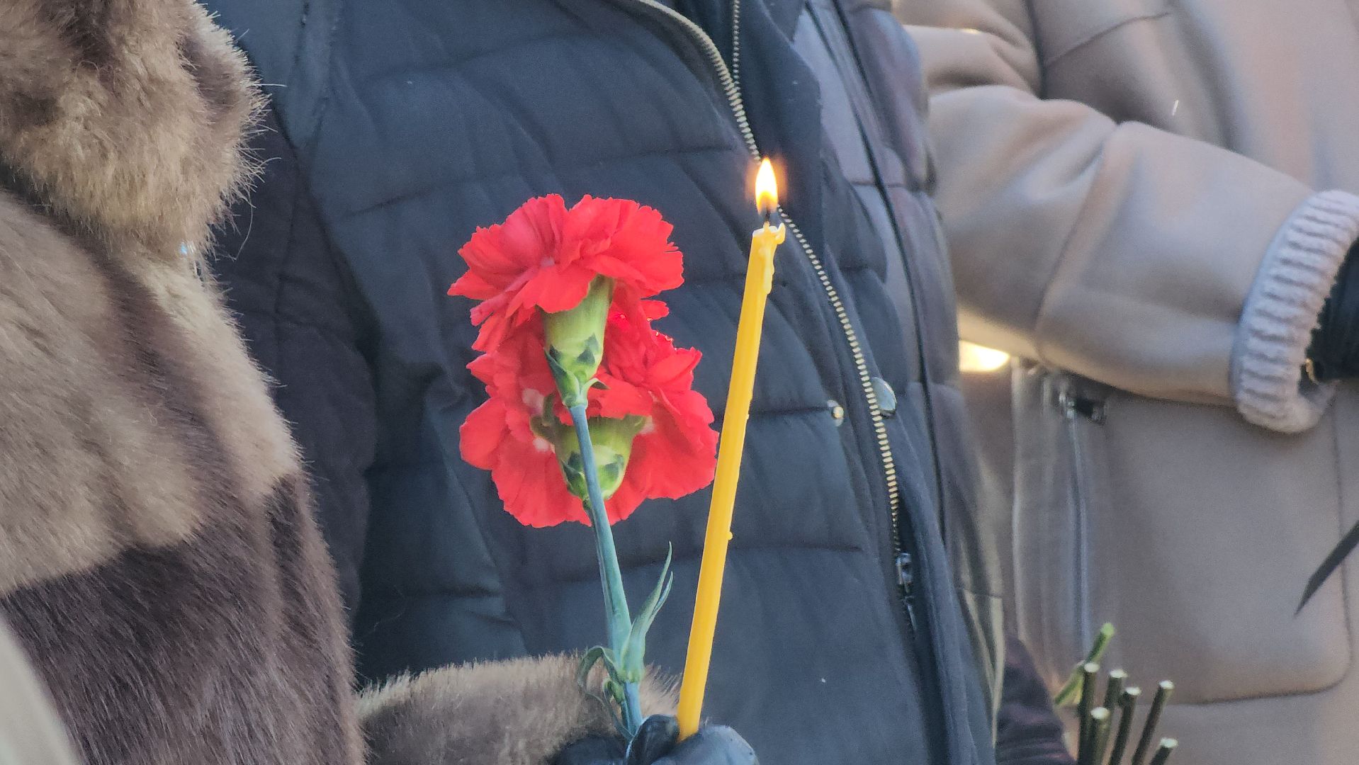 Руза, тучково, аллея славы, Сво, спецоперация,