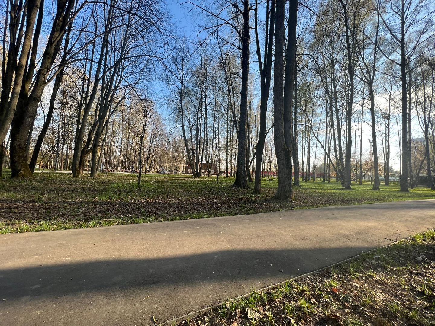 Солнечногорск, чистота, порядок, субботник, жители