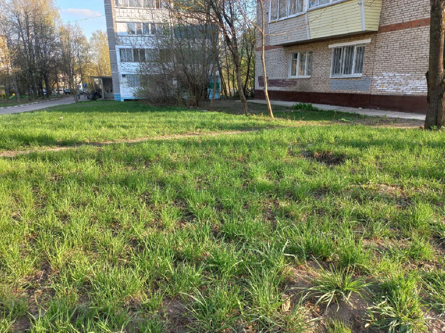 Солнечногорск, чистота, порядок, субботник, жители