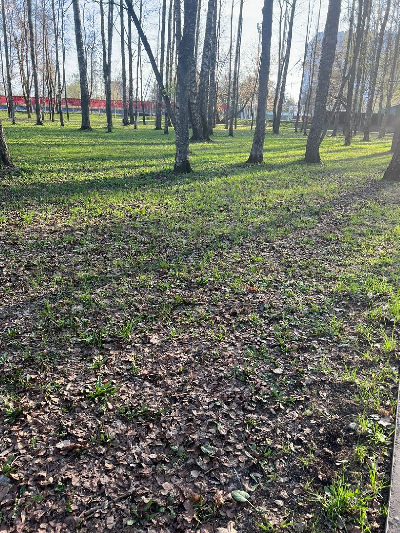 Солнечногорск, чистота, порядок, субботник, жители