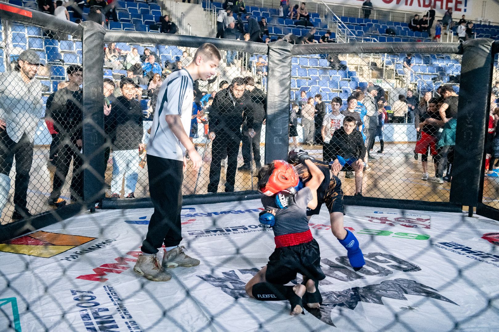 лыткарино, фестиваль единоборств, Дворец спорта Арена Лыткарино», единоборства,