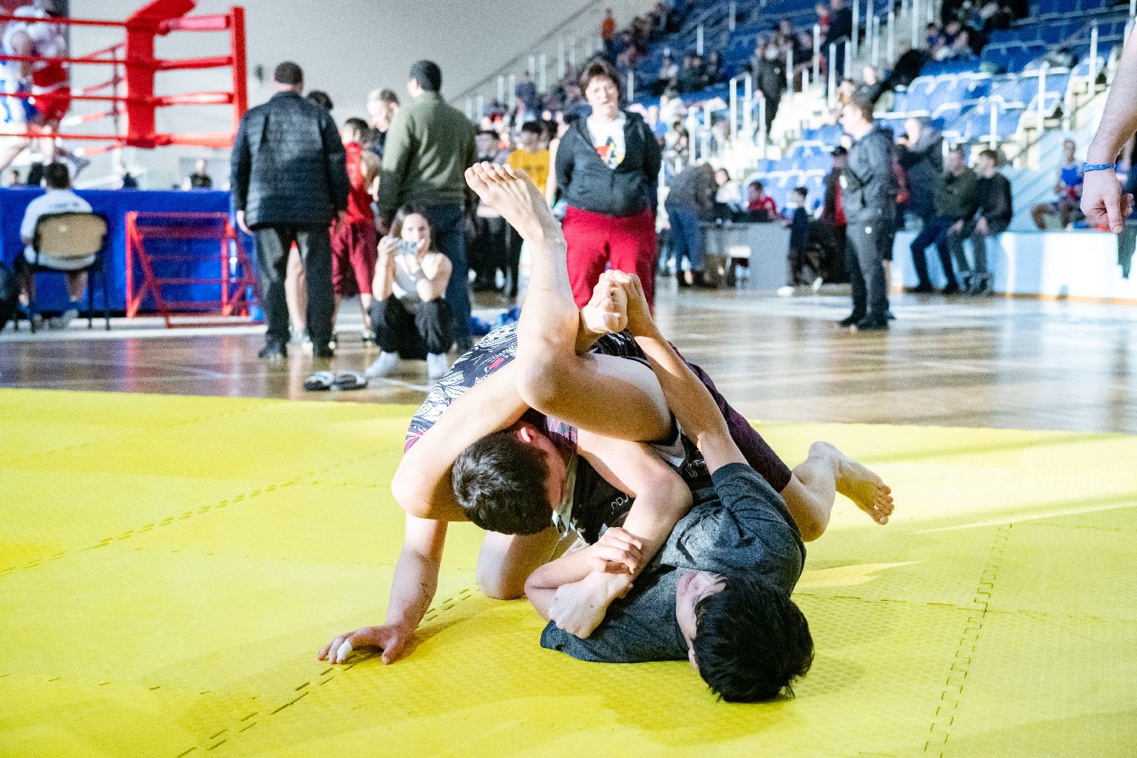 лыткарино, фестиваль единоборств, Дворец спорта Арена Лыткарино», единоборства,