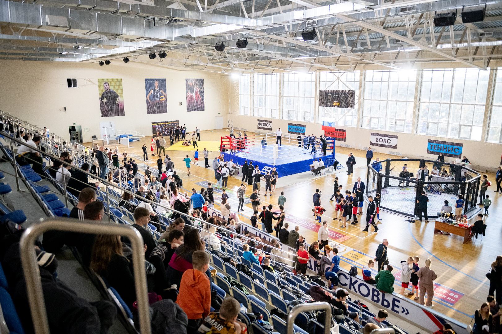 лыткарино, фестиваль единоборств, Дворец спорта Арена Лыткарино», единоборства,