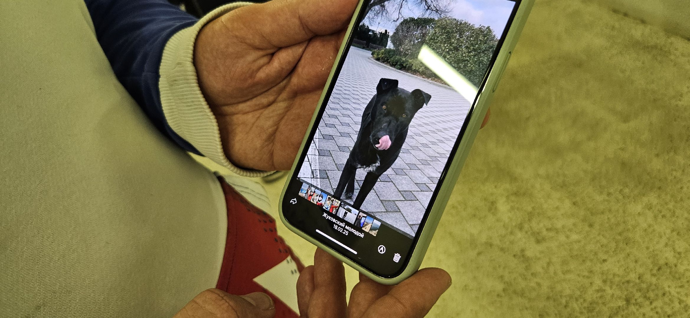 волонтры подмосковья, жуковский, анапа,