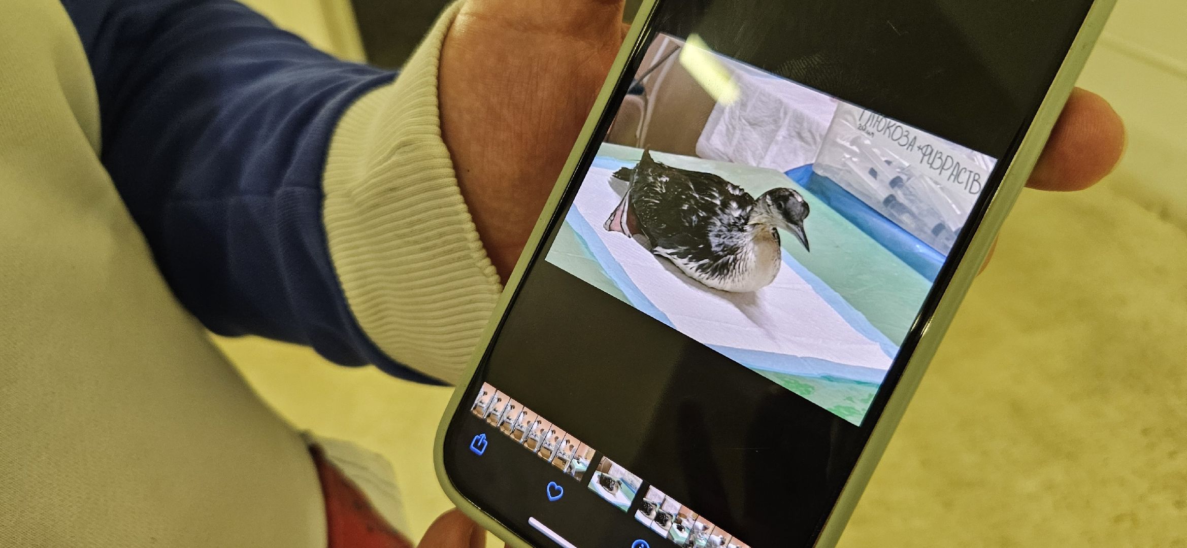 волонтры подмосковья, жуковский, анапа,