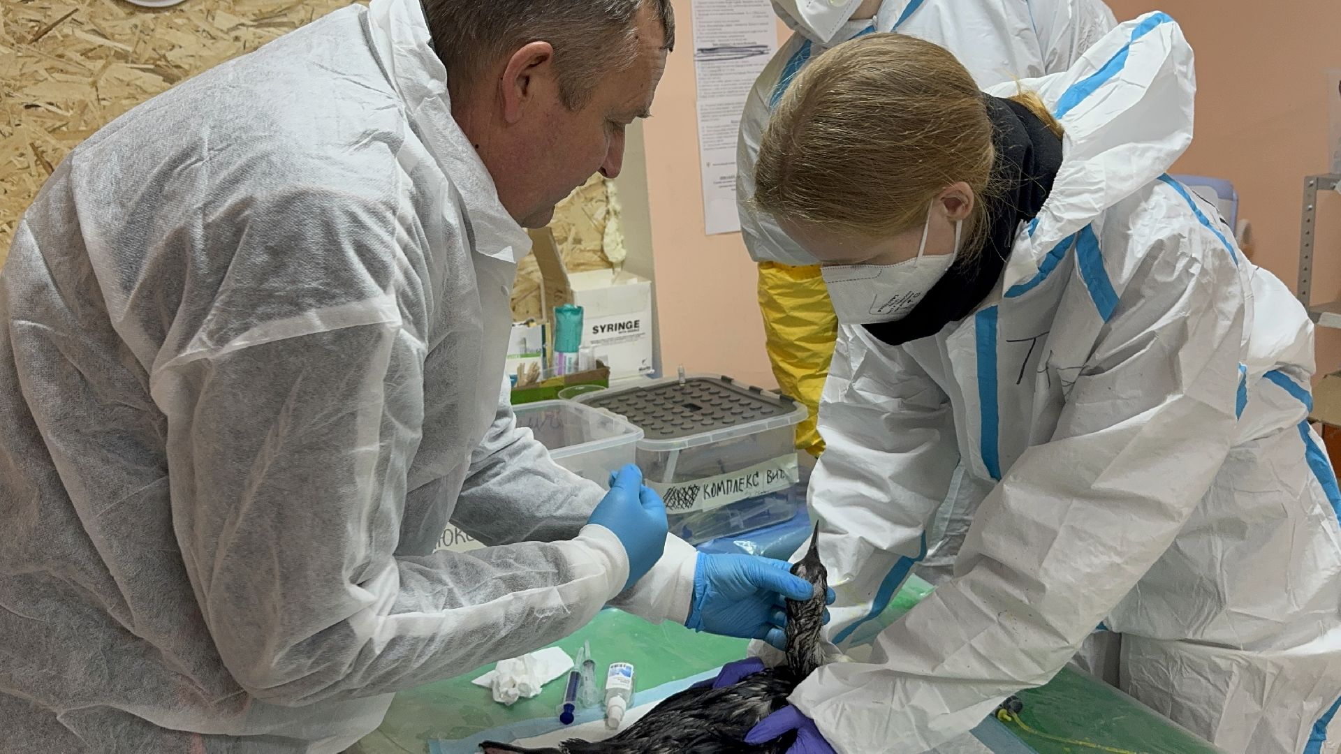 волонтры подмосковья, жуковский, анапа,