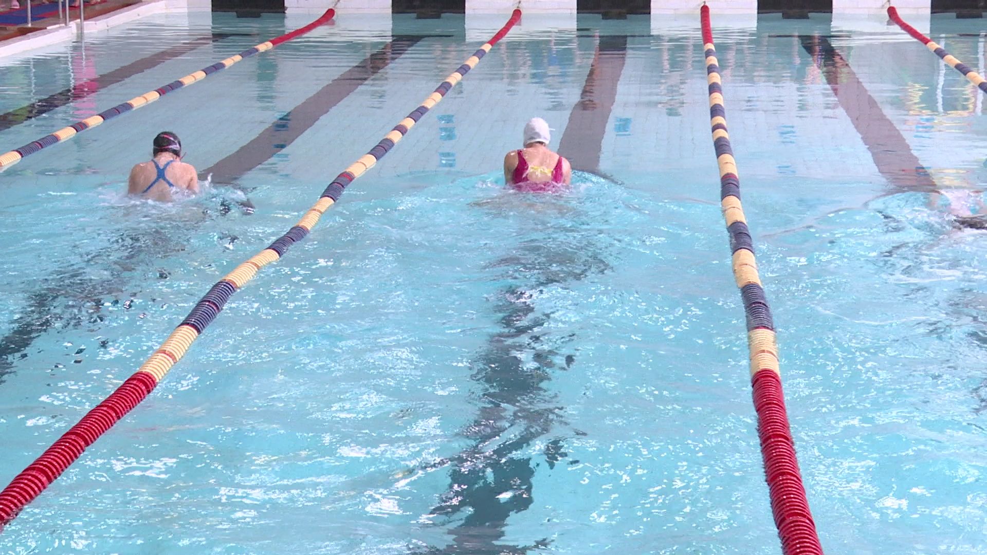 реутов, вертикалки, спорт, плавание, соревнования,