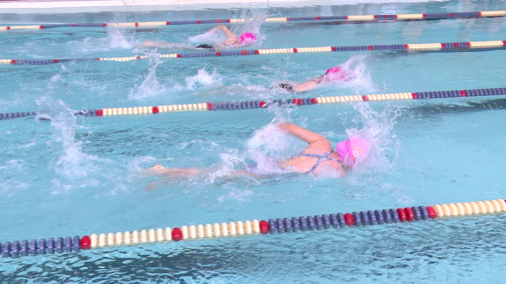 реутов, вертикалки, спорт, плавание, соревнования,